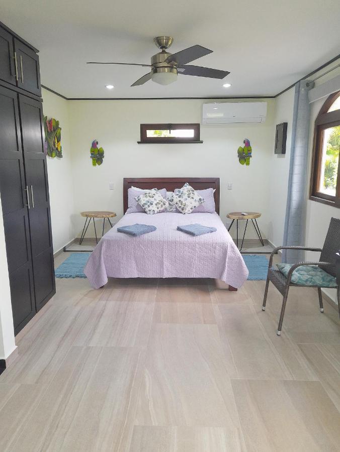 Top Rated - Lake View Arenal Suite - 2025 Traveller Awards Winner Tronadora Eksteriør billede