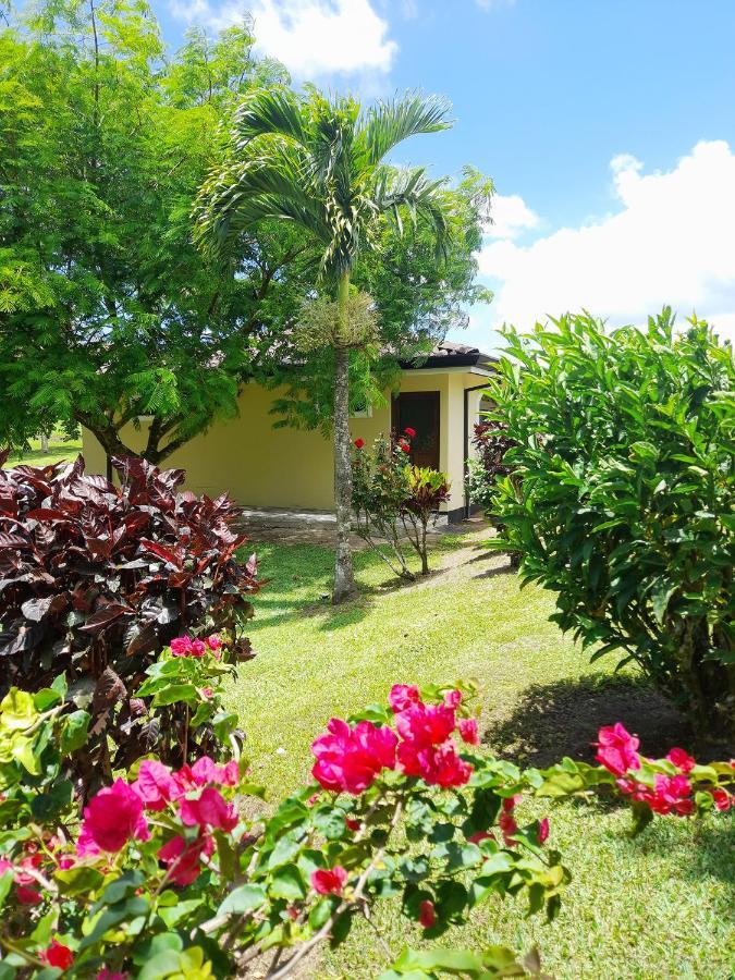 Top Rated - Lake View Arenal Suite - 2025 Traveller Awards Winner Tronadora Eksteriør billede